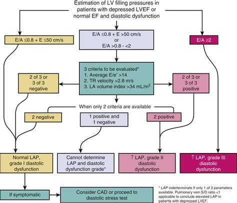 lv grade uitslagen advance|Recommendations for the Evaluation of Left Ventricular Diastolic .